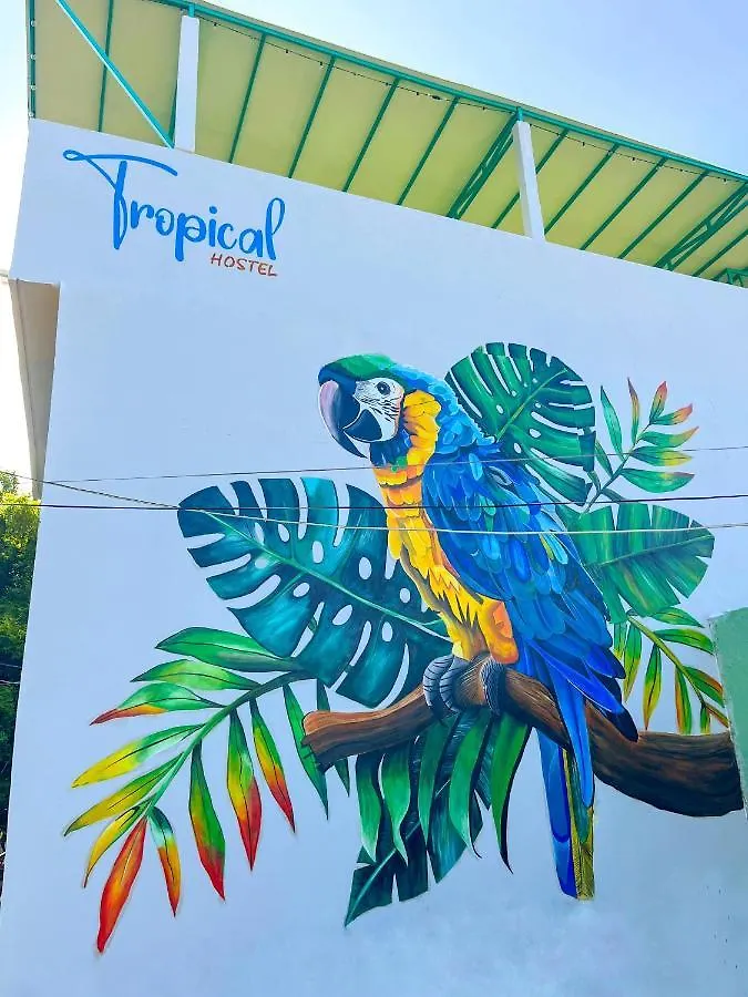 Tropical Hostel Santa Marta